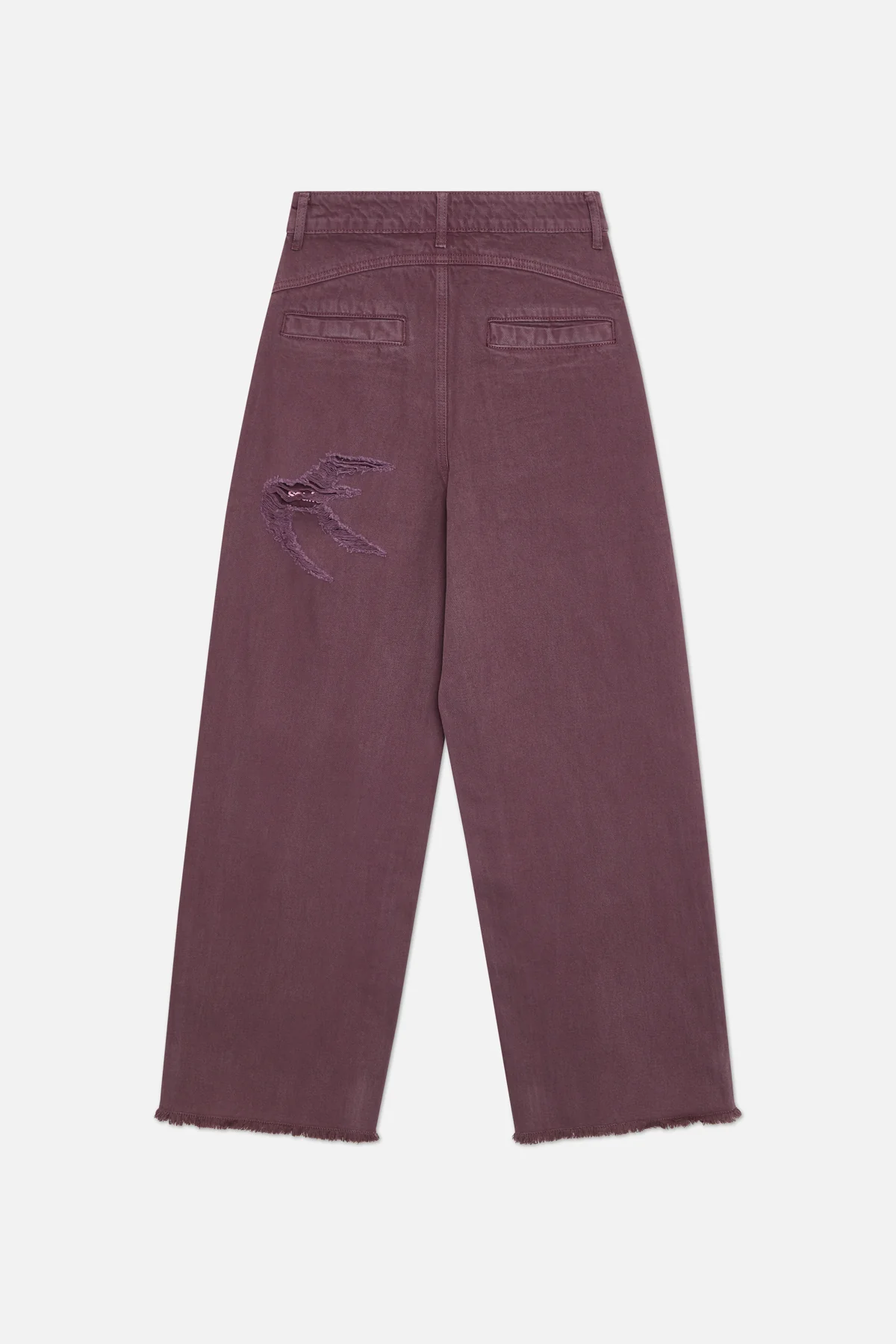 2025 02 06 Scuffers0086 Jpg