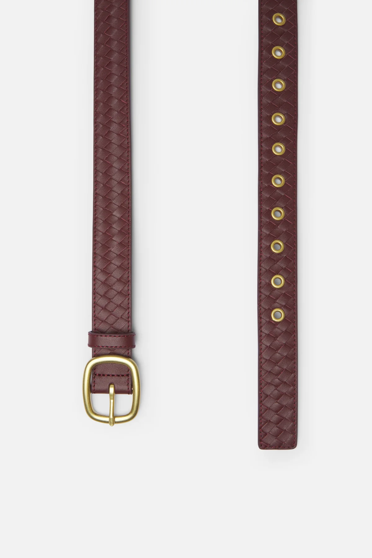 Belt 1 3 Semana 41 Jpg