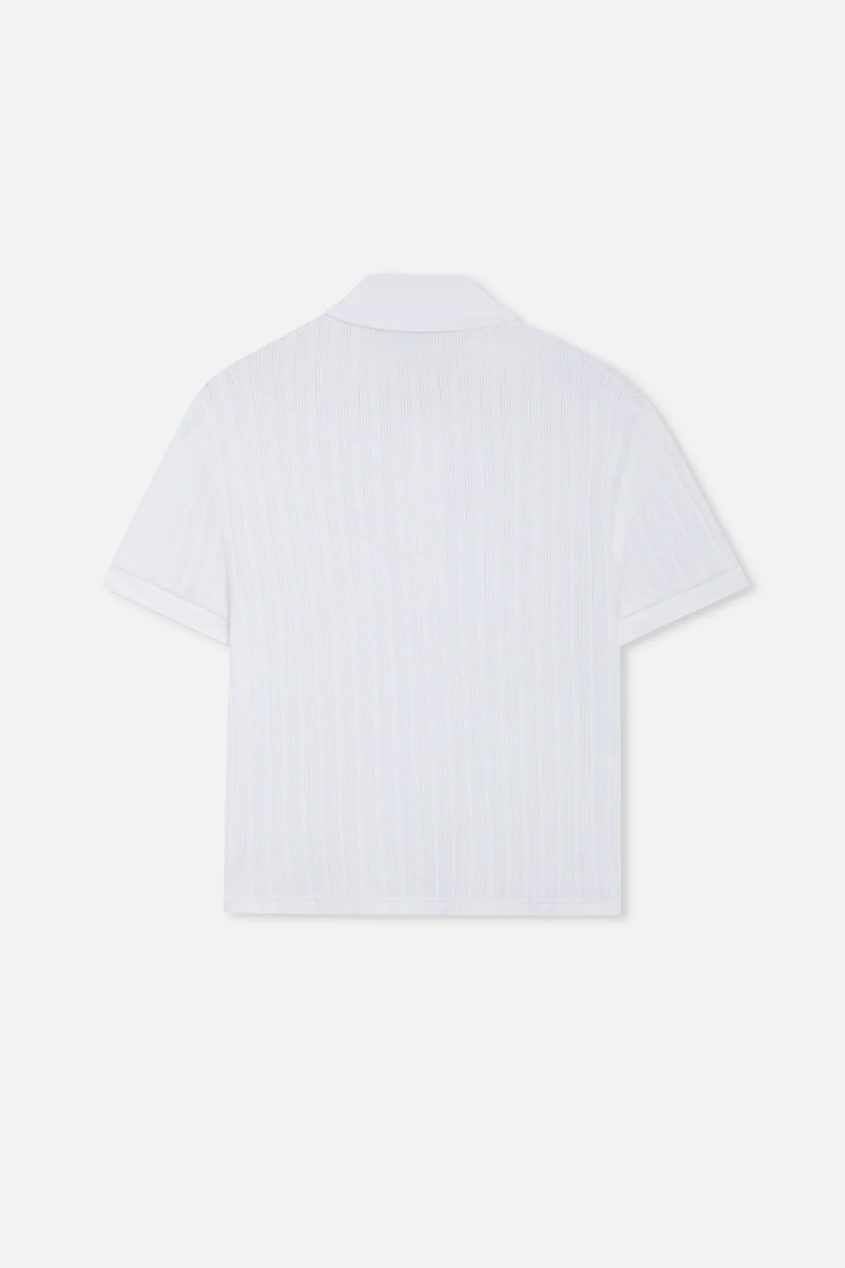 Placket White Polo 2 Sem38 Jpg