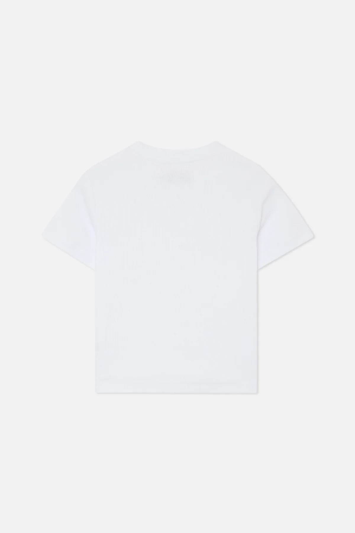 Rubioswhitetop Drop12 2 E69b0737 F425 431d 8233 1eef797da8fa Jpg